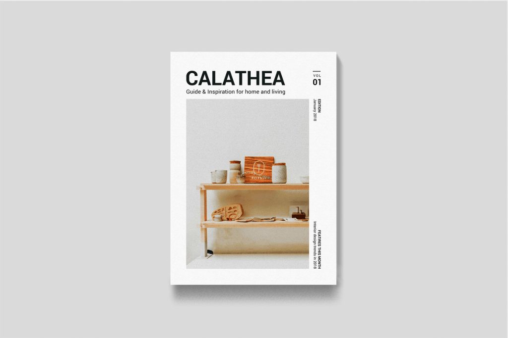 acd7b532-cc5a-4169-9f4b-9b11c70b9e09 Calathea